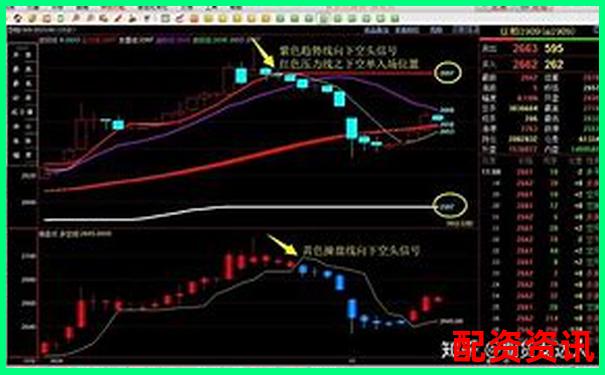 股指期货杠杆比例解析及合理运用策略探讨